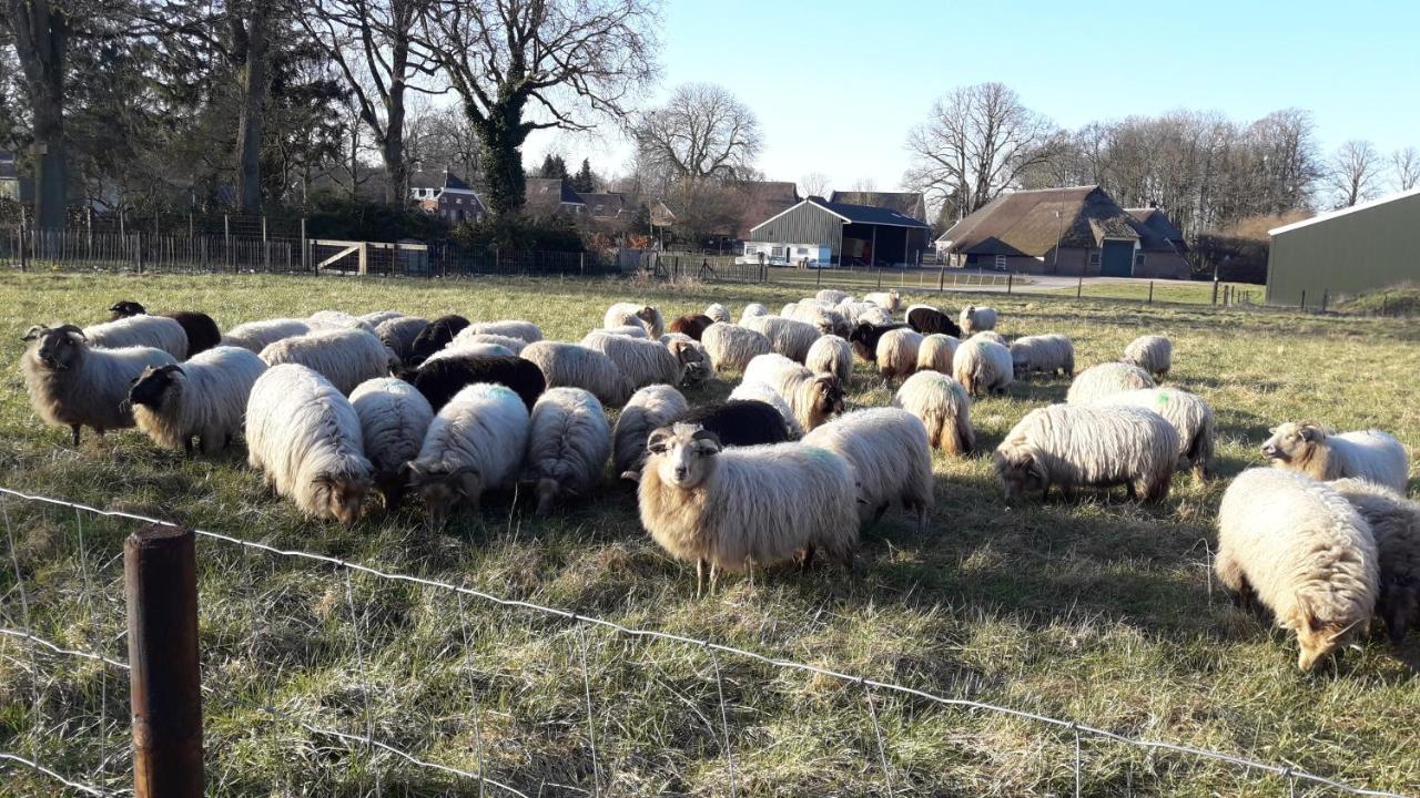 'T Rond Bargie Bed and Breakfast Exloo Eksteriør billede